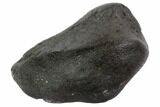 Fossil Whale Ear Bone - Miocene #95728-1